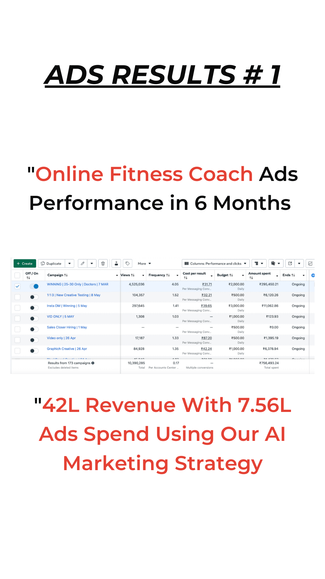 Client ads dashboard result 1